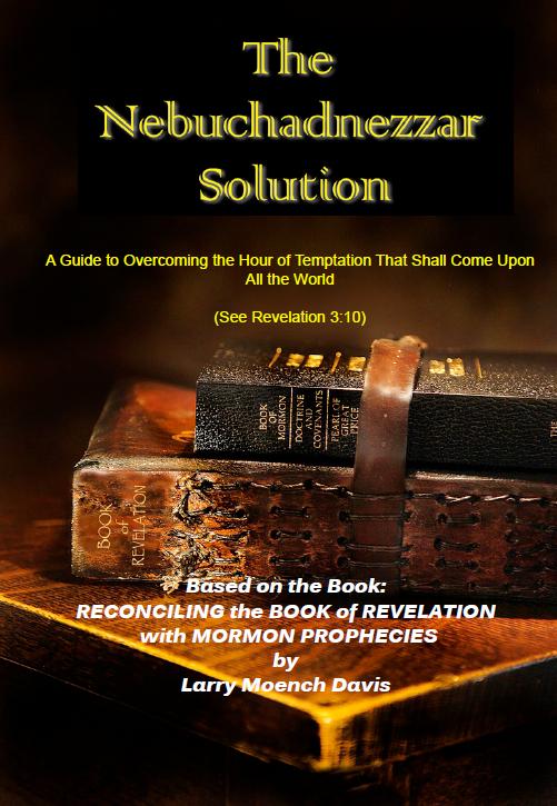 The Nebuchadnezzar Solution (DVD)